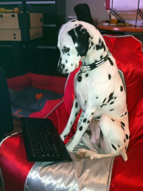 Creative Intersection Company Mascot - Patti